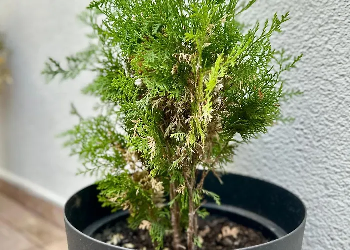 公寓 Central District 3 Bedroom Place *